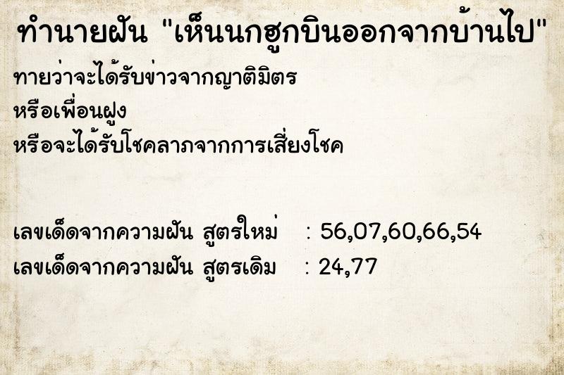 ทำนายฝันทำนายฝันเห็นนกฮูกบินออกจากบ้านไป