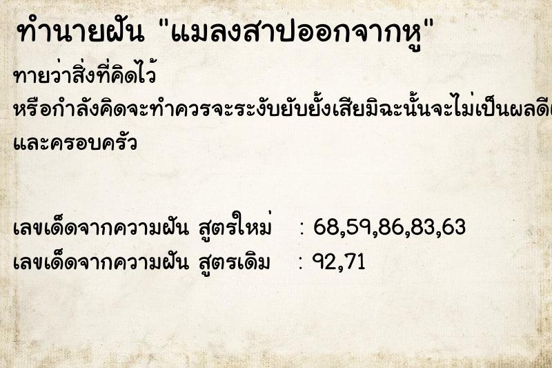 ทำนายฝันแมลงสาปออกจากหู ทำนายฝันทำนายฝันแมลงสาปออกจากหู