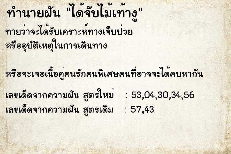 ทำนายฝันทำนายฝันได้จับไม้เท้างู