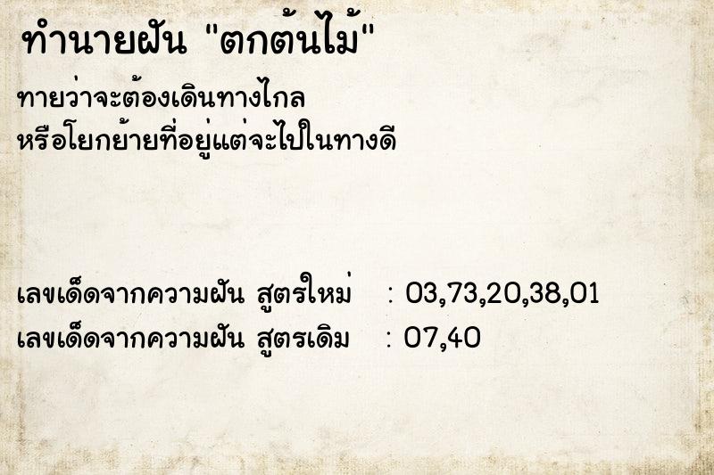 ทำนายฝัน ตกต้นไม้