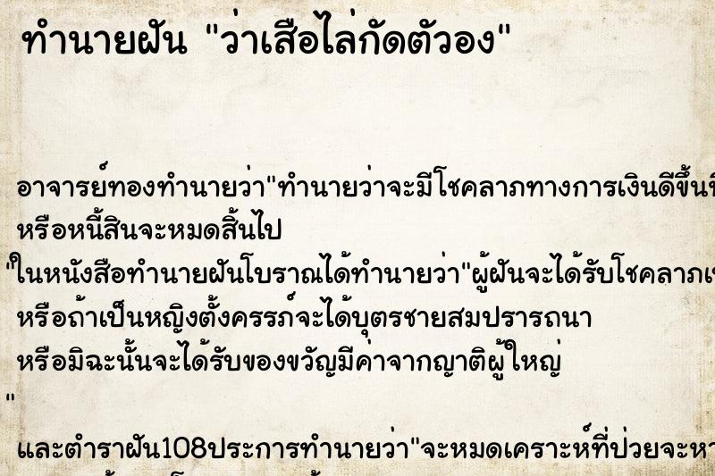 ทำนายฝัน ว่าเสือไล่กัดตัวอง ทำนายฝัน ว่าเสือไล่กัดตัวอง