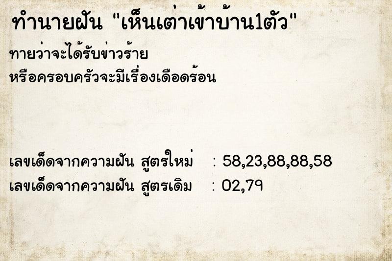 ทำนายฝันทำนายฝันเห็นเต่าเข้าบ้าน1ตัว