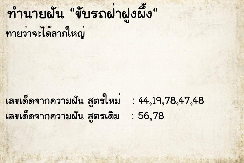 ทำนายฝัน ขับรถฝ่าฝูงผึ้ง ทำนายฝัน ขับรถฝ่าฝูงผึ้ง