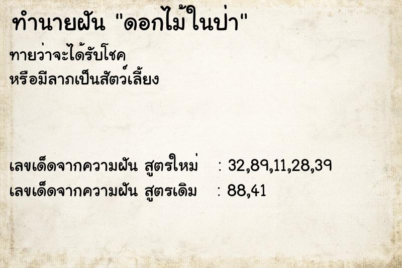 ทำนายฝันทำนายฝันดอกไม้ในป่า