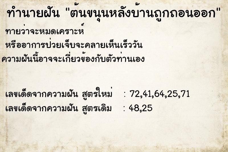 ทำนายฝัน ต้นขนุนหลังบ้านถูกถอนออก ทำนายฝัน ต้นขนุนหลังบ้านถูกถอนออก