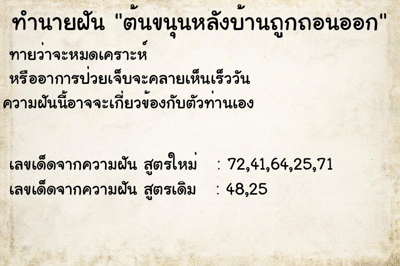 ทำนายฝัน ต้นขนุนหลังบ้านถูกถอนออก ตำราโบราณ แม่นที่สุดในโลก