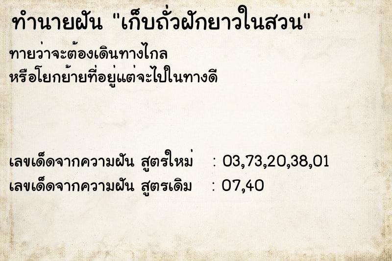ทำนายฝัน เก็บถั่วฝักยาวในสวน ทำนายฝัน เก็บถั่วฝักยาวในสวน