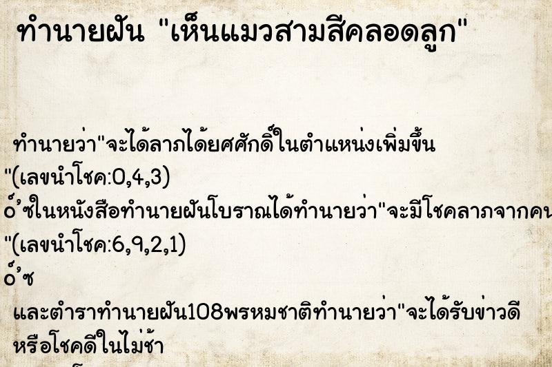 ทำนายฝันเห็นแมวสามสีคลอดลูก ทำนายฝันทำนายฝันเห็นแมวสามสีคลอดลูก