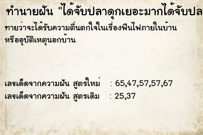 ทำนายฝันทำนายฝันได้จับปลาดุกเยอะมากได้จับปลาดุกเยอะมาก