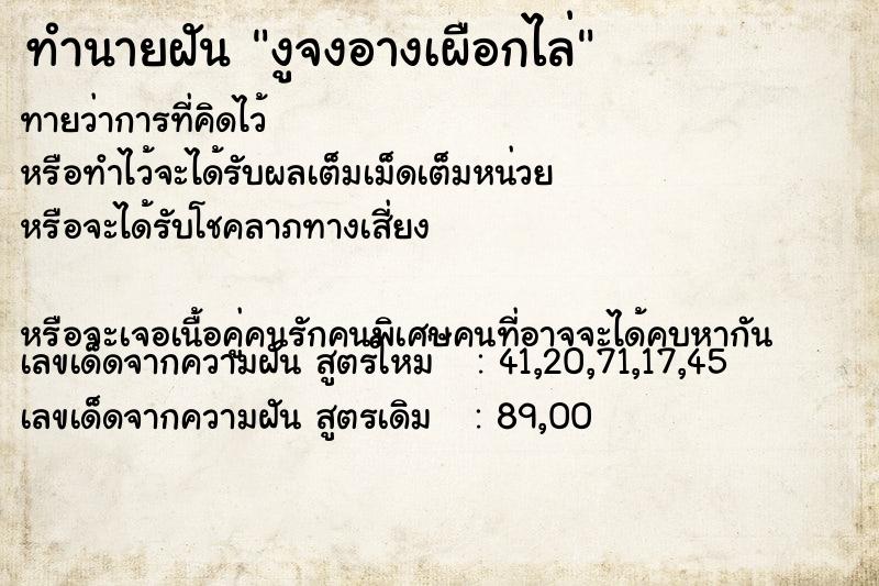 ทำนายฝัน งูจงอางเผือกไล่ ทำนายฝัน งูจงอางเผือกไล่