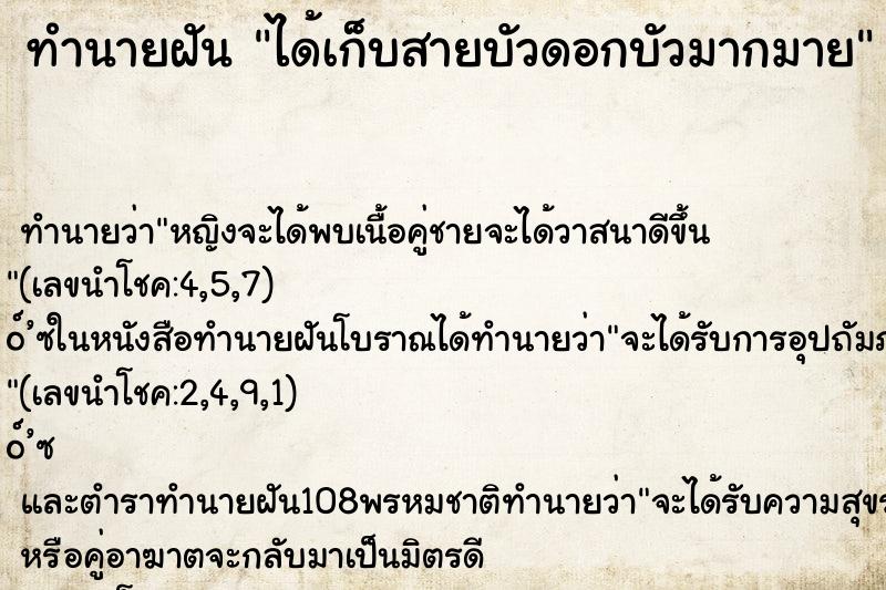 ทำนายฝัน ได้เก็บสายบัวดอกบัวมากมาย ทำนายฝัน ได้เก็บสายบัวดอกบัวมากมาย