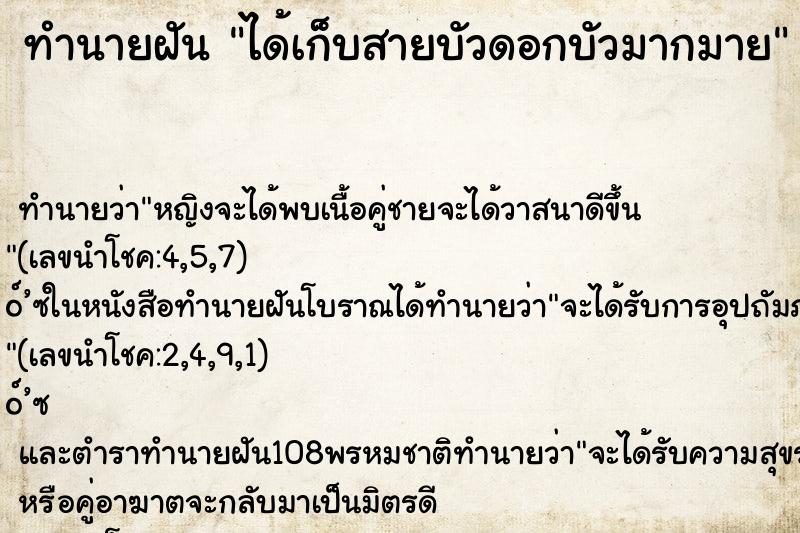 ทำนายฝัน ได้เก็บสายบัวดอกบัวมากมาย ตำราโบราณ แม่นที่สุดในโลก