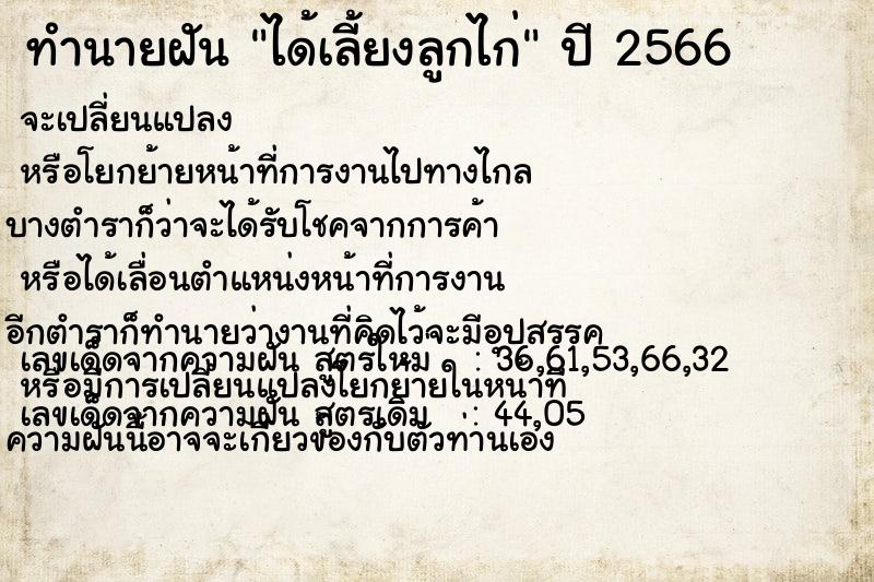 ทำนายฝันทำนายฝันได้เลี้ยงลูกไก่