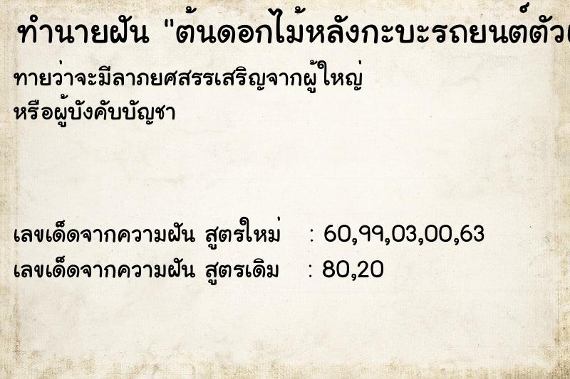 ทำนายฝันทำนายฝันต้นดอกไม้หลังกะบะรถยนต์ตัวเอง
