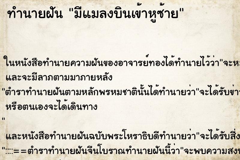 ทำนายฝัน มีแมลงบินเข้าหูซ้าย ทำนายฝัน มีแมลงบินเข้าหูซ้าย