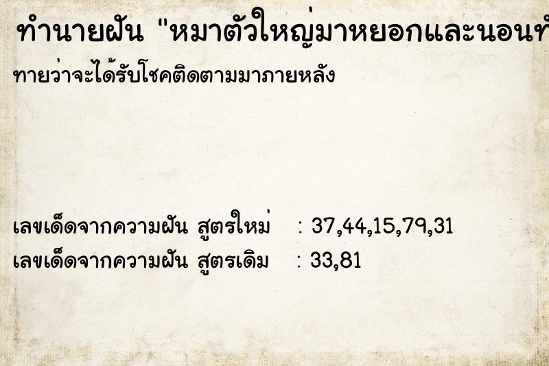 ทำนายฝันทำนายฝันหมาตัวใหญ่มาหยอกและนอนทับ