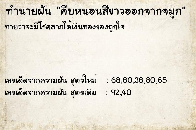 ทำนายฝันทำนายฝันคีบหนอนสีขาวออกจากจมูก