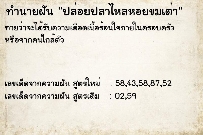 ทำนายฝันปล่อยปลาไหลหอยขมเต่า ทำนายฝันทำนายฝันปล่อยปลาไหลหอยขมเต่า