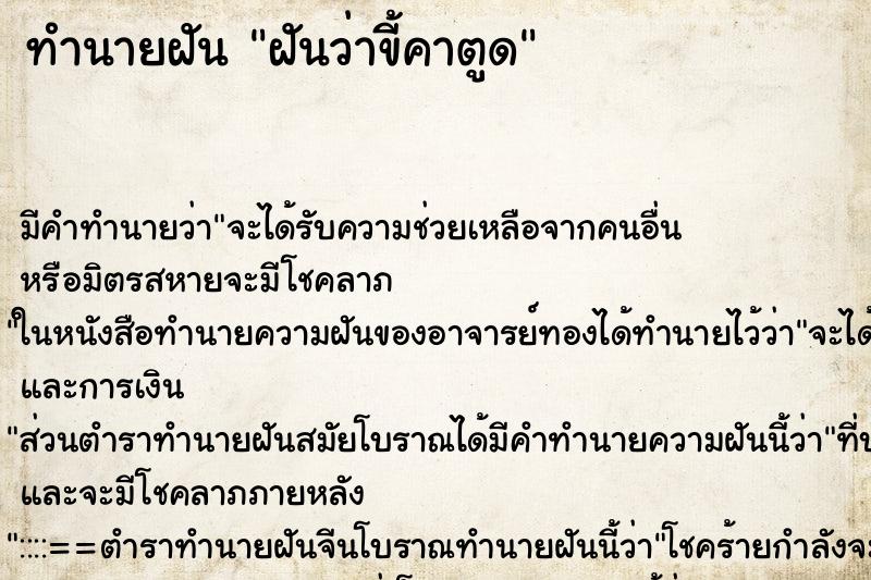 ทำนายฝัน ฝันว่าขี้คาตูด ทำนายฝัน ฝันว่าขี้คาตูด