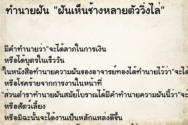 ทำนายฝันฝันเห็นช้างหลายตัววิ่งไล่ ทำนายฝันทำนายฝันฝันเห็นช้างหลายตัววิ่งไล่
