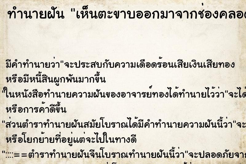 ทำนายฝัน เห็นตะขาบออกมาจากช่องคลอดตัวเอง