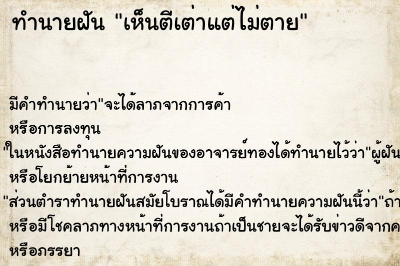 ทำนายฝันทำนายฝันเห็นตีเต่าแต่ไม่ตาย