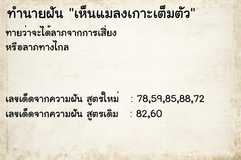 ทำนายฝันทำนายฝันเห็นแมลงเกาะเต็มตัว