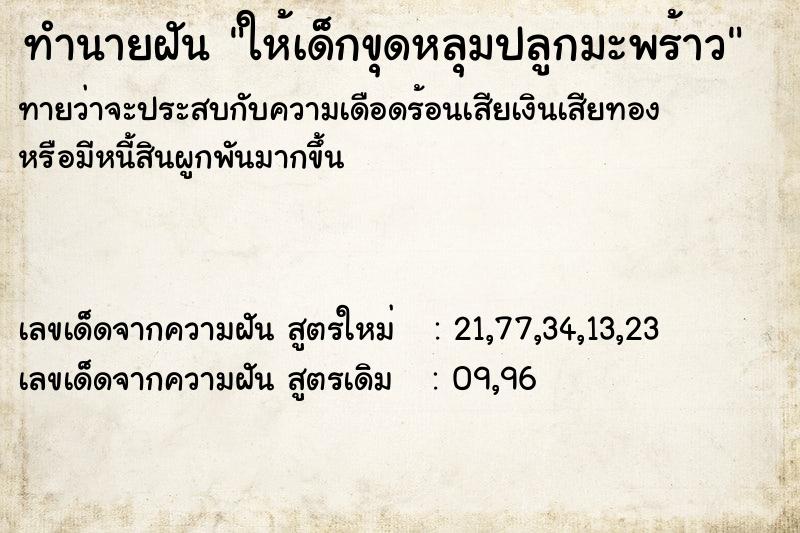 ทำนายฝันทำนายฝันให้เด็กขุดหลุมปลูกมะพร้าว