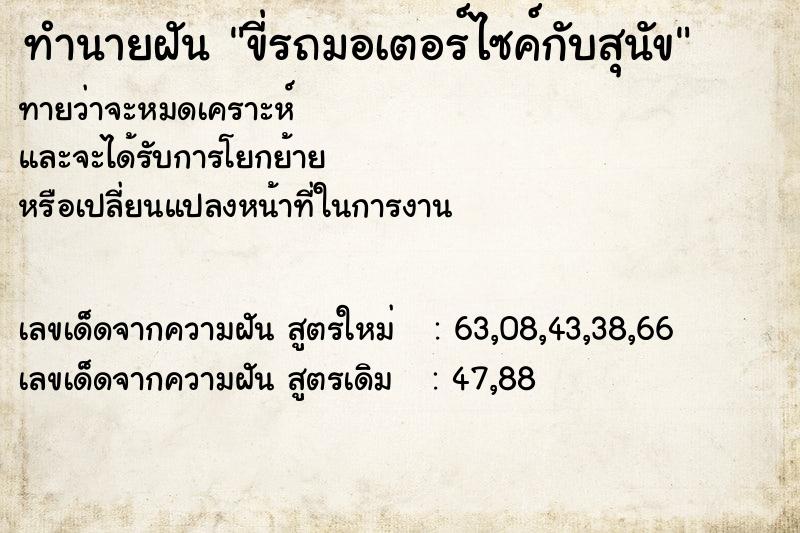ทำนายฝัน ขี่รถมอเตอร์ไซค์กับสุนัข ทำนายฝัน ขี่รถมอเตอร์ไซค์กับสุนัข