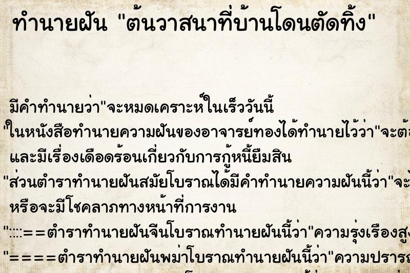 ทำนายฝัน ต้นวาสนาที่บ้านโดนตัดทิ้ง ทำนายฝัน ต้นวาสนาที่บ้านโดนตัดทิ้ง