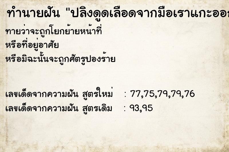 ทำนายฝันทำนายฝันปลิงดูดเลือดจากมือเราแกะออกได้