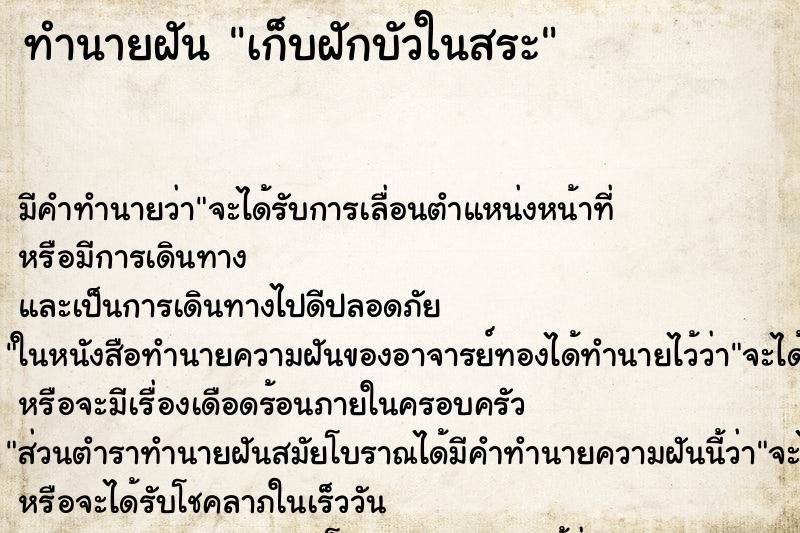 ทำนายฝัน เก็บฝักบัวในสระ ทำนายฝัน เก็บฝักบัวในสระ