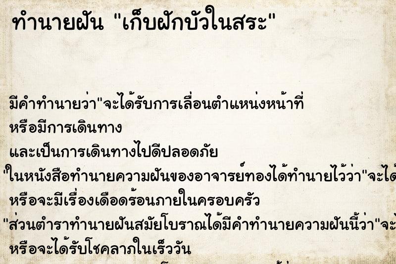 ทำนายฝัน เก็บฝักบัวในสระ ตำราโบราณ แม่นที่สุดในโลก