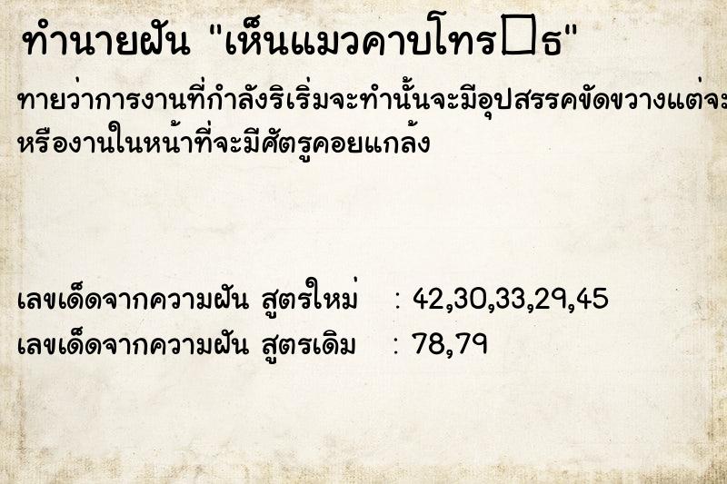 ทำนายฝันเห็นแมวคาบโทร�¸ ทำนายฝันทำนายฝันเห็นแมวคาบโทร�¸