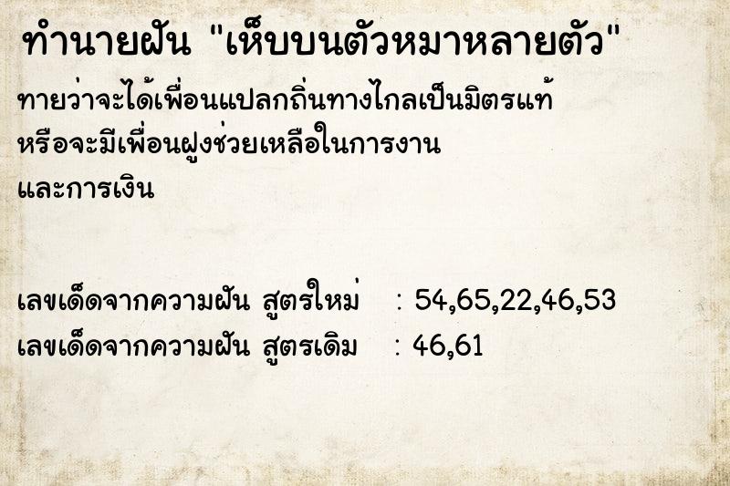 ทำนายฝันเห็บบนตัวหมาหลายตัว ทำนายฝันทำนายฝันเห็บบนตัวหมาหลายตัว