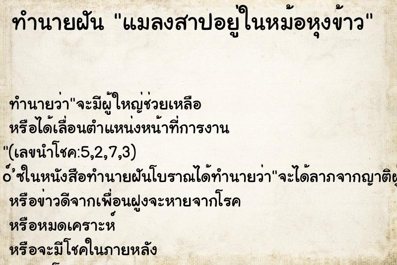 ทำนายฝันทำนายฝันแมลงสาปอยู่ในหม้อหุงข้าว