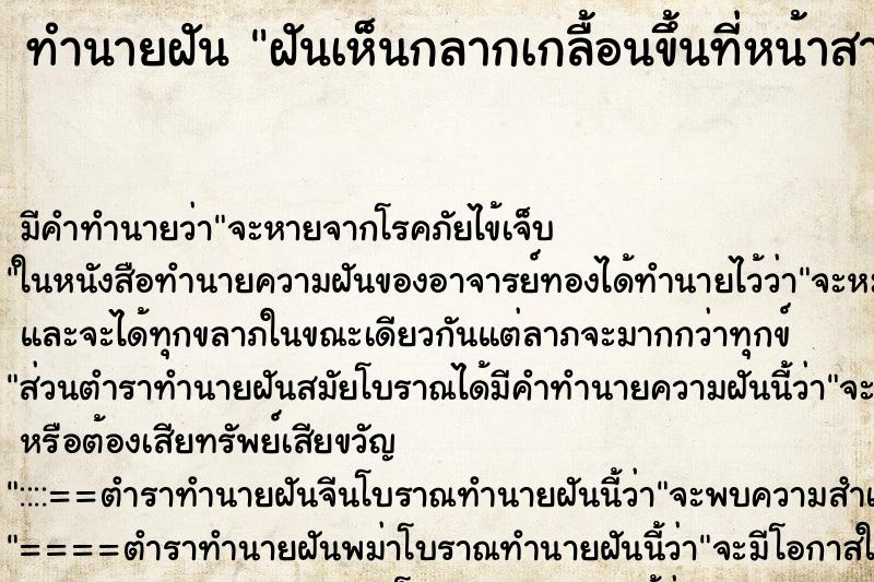 ทำนายฝัน ฝันเห็นกลากเกลื้อนขึ้นที่หน้าสามี ทำนายฝัน ฝันเห็นกลากเกลื้อนขึ้นที่หน้าสามี