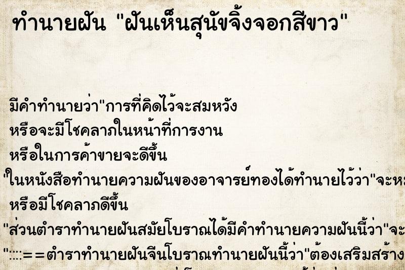 ทำนายฝัน ฝันเห็นสุนัขจิ้งจอกสีขาว ทำนายฝัน ฝันเห็นสุนัขจิ้งจอกสีขาว