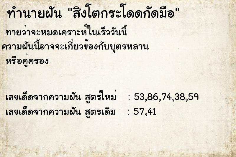 ทำนายฝันทำนายฝันสิงโตกระโดดกัดมือ