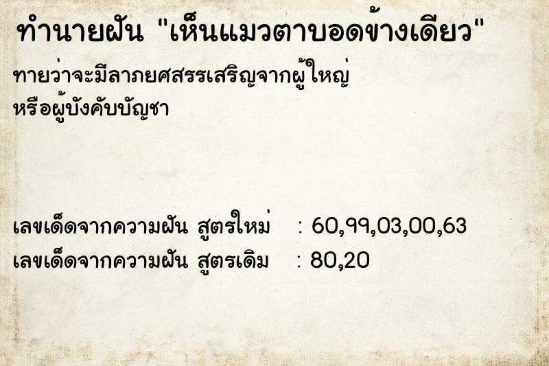 ทำนายฝัน เห็นแมวตาบอดข้างเดียว ตำราโบราณ แม่นที่สุดในโลก