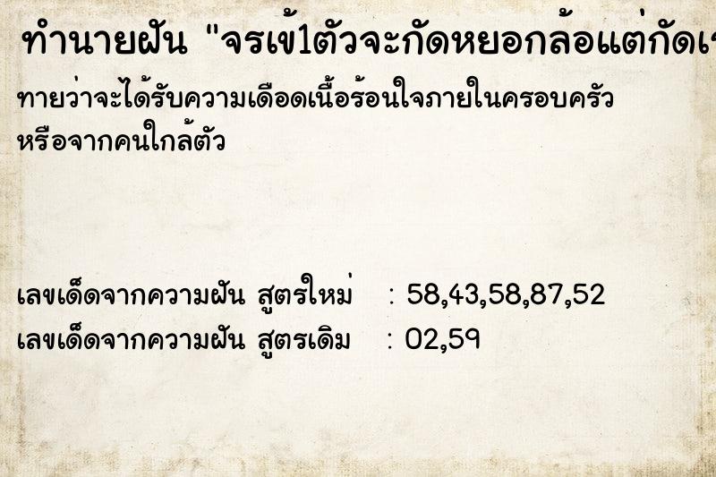 ทำนายฝัน จรเข้1ตัวจะกัดหยอกล้อแต่กัดเราไม่ได้