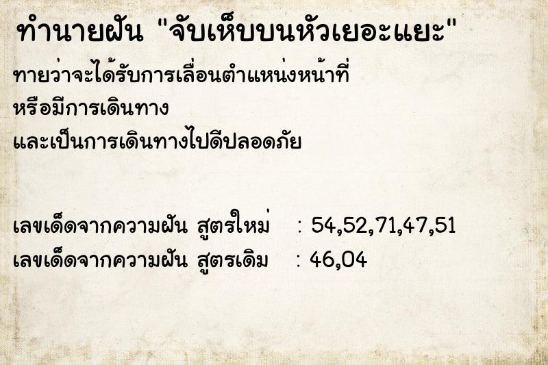 ทำนายฝันจับเห็บบนหัวเยอะแยะ ทำนายฝันทำนายฝันจับเห็บบนหัวเยอะแยะ