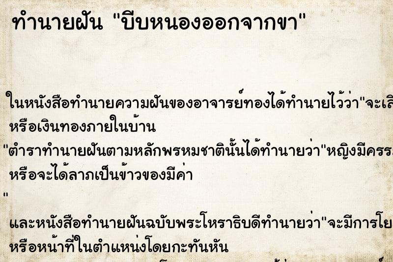 ทำนายฝัน บีบหนองออกจากขา ทำนายฝัน บีบหนองออกจากขา