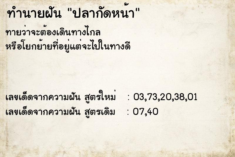 ทำนายฝันปลากัดหน้า ทำนายฝันทำนายฝันปลากัดหน้า