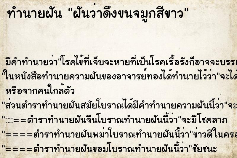 ทำนายฝัน ฝันว่าดึงขนจมูกสีขาว ทำนายฝัน ฝันว่าดึงขนจมูกสีขาว