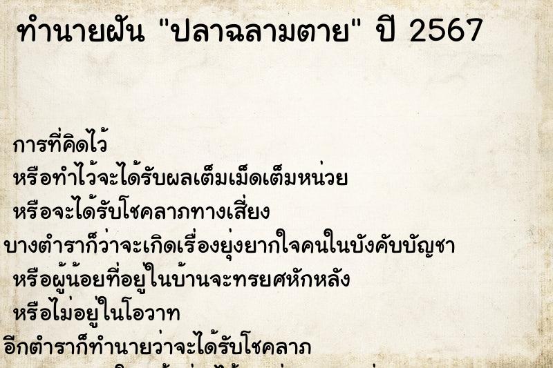 ทำนายฝัน ปลาฉลามตาย ตำราโบราณ แม่นที่สุดในโลก