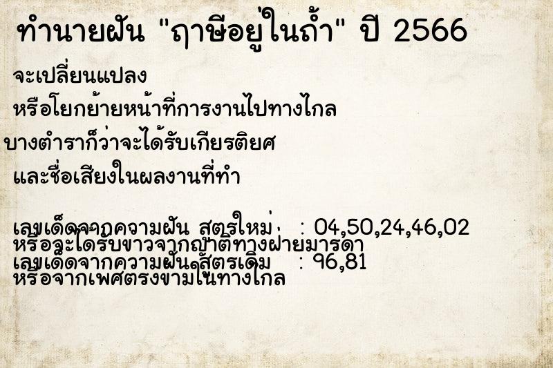 ทำนายฝัน ฤาษีอยู่ในถ้ำ ทำนายฝัน ฤาษีอยู่ในถ้ำ