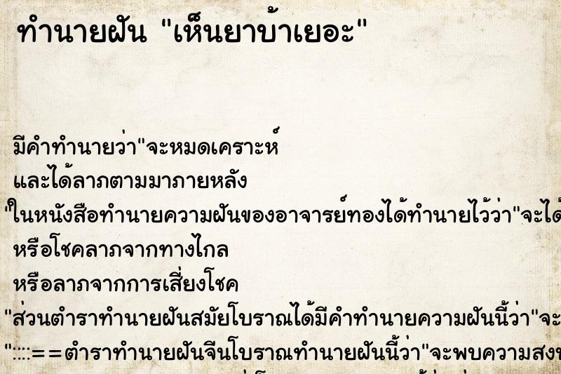 ทำนายฝัน เห็นยาบ้าเยอะ ทำนายฝัน เห็นยาบ้าเยอะ