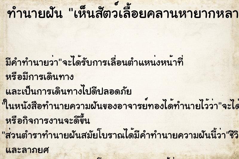 ทำนายฝันเห็นสัตว์เลื้อยคลานหายากหลายชนิดในห้องนอน ทำนายฝันทำนายฝันเห็นสัตว์เลื้อยคลานหายากหลายชนิดในห้องนอน