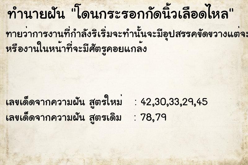 ทำนายฝัน โดนกระรอกกัดนิ้วเลือดไหล ทำนายฝัน โดนกระรอกกัดนิ้วเลือดไหล